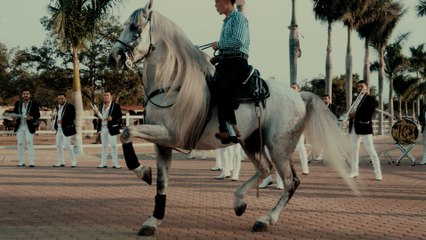 Banda Carnaval - Juan Ramos