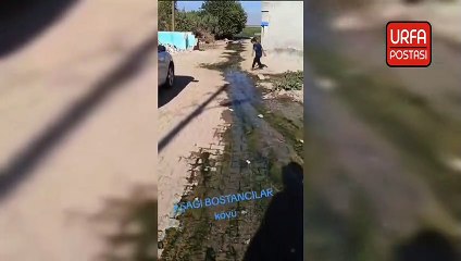 Tanal: Suruç’ta Atık Sular Açıktan Akıyor