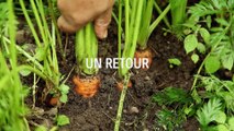 Les fermiers | show | 2018 | Official Trailer