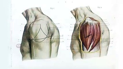 Électrons libres | show | 2016 | Official Teaser