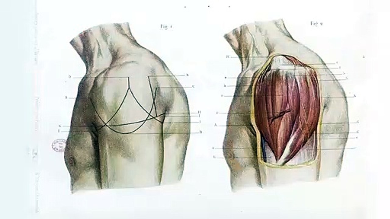 Électrons libres | show | 2016 | Official Teaser