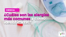 ¿Cuáles son las alergias más comunes y cómo identificarlas?