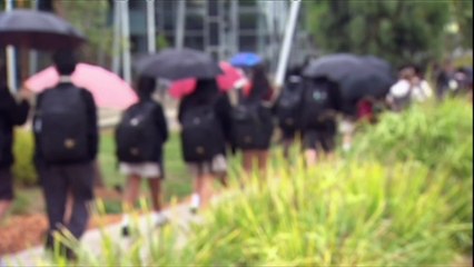 Conservative think tank IPA accused of indoctrinating school children with Voice to Parliament lesson plan