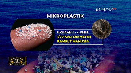 Ancaman Mikroplastik pada Ikan di Perairan Jakarta