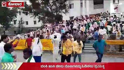 ಸಂಸದ, ಬಿಜೆಪಿ ಕಾರ್ಯಕರ್ತರ ಮೇಲೆ ಹೆಜ್ಜೇನು ದಾಳಿ