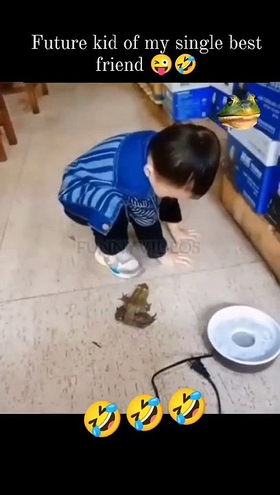 Frog funny 