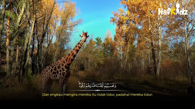 Murottal Alquran Merdu Surat Al Kahfi dengan Video Hewan-hewan disertai Teks Arab dan Terjemahan