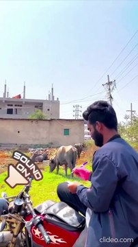 Funny Memes about the Animal Attendance in Public | Funny Memes Trending Viral | Tag to your friends