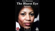 Toni Morrison - The Bluest Eye - Summary - Khâgne (2e année) 2023-2024