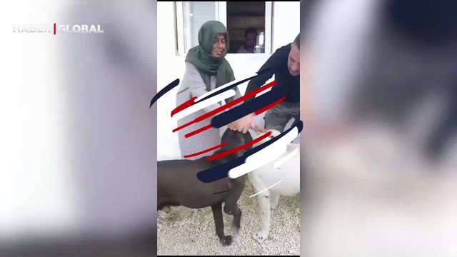 Zehirli et verilsin! diyerek tepki çekmişti... Yıldız Tilbe köpekleri sevdiği anları paylaştı