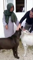 Köye giden Yıldız Tilbe, başörtüsü taktı