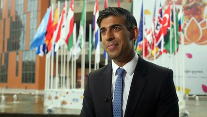 Sunak pleased with arrest of escaped terror suspect