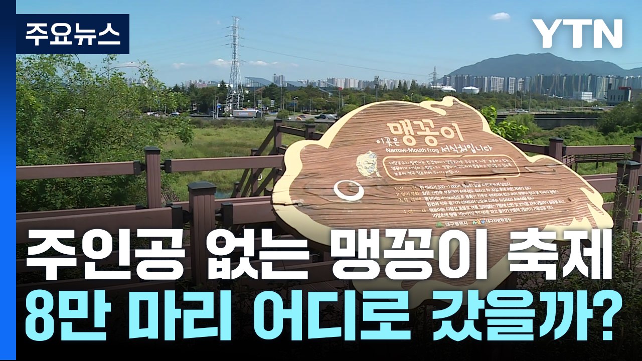 '맹꽁이 없는 맹꽁이 축제'...8만 마리 어디로 갔을까? / YTN
