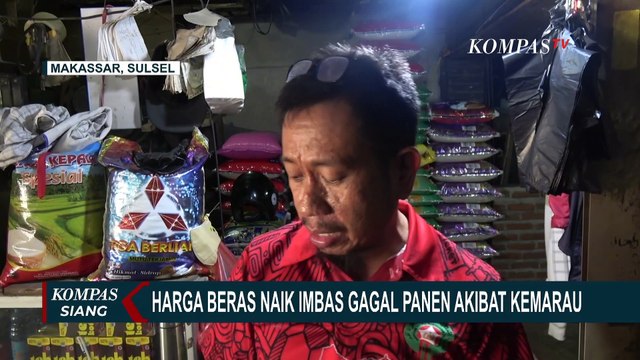 Harga Beras di Aceh dan Makassar Naik, Imbas Gagal Panen Akibat Kemarau Panjang
