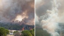 İzmir'in Gaziemir ilçesinde orman yangını