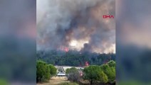 İzmir Gaziemir'de Orman Yangını Çıktı
