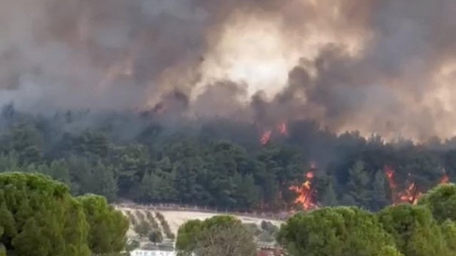 İzmir'de orman yangını