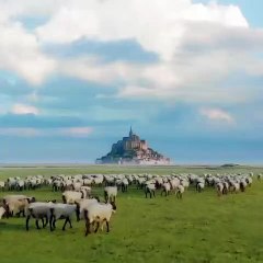 "Le Magnifique Mont-Saint-Michel : Un Trésor Médiéval au Cœur de la France" 
