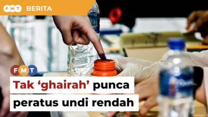 Penyokong PN tak ‘ghairah’ punca peratus undi rendah di Pulai, kata penganalisis