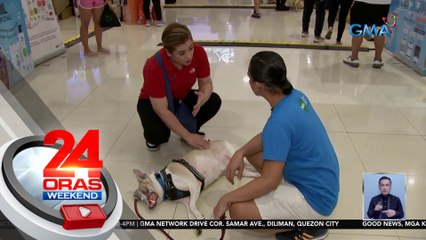 Furbaby na si Dolly na biktima ng pagmamaltrato, bumida sa aspin day | 24 Oras Weekend