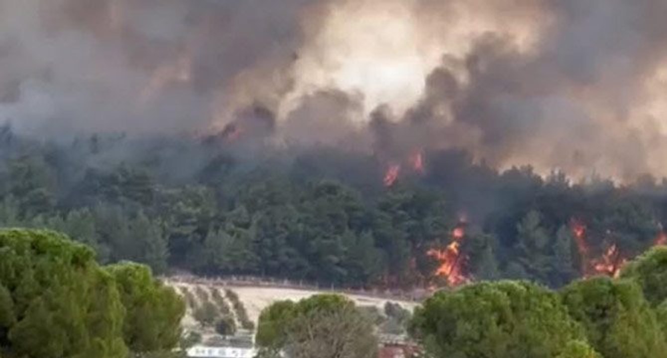İzmir’de orman yangını çıktı