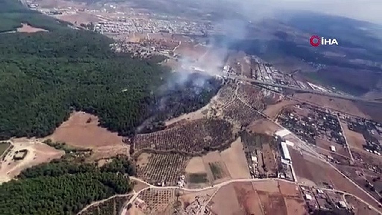 İzmir'de orman yangını: Havadan ve karadan müdahale sürüyor