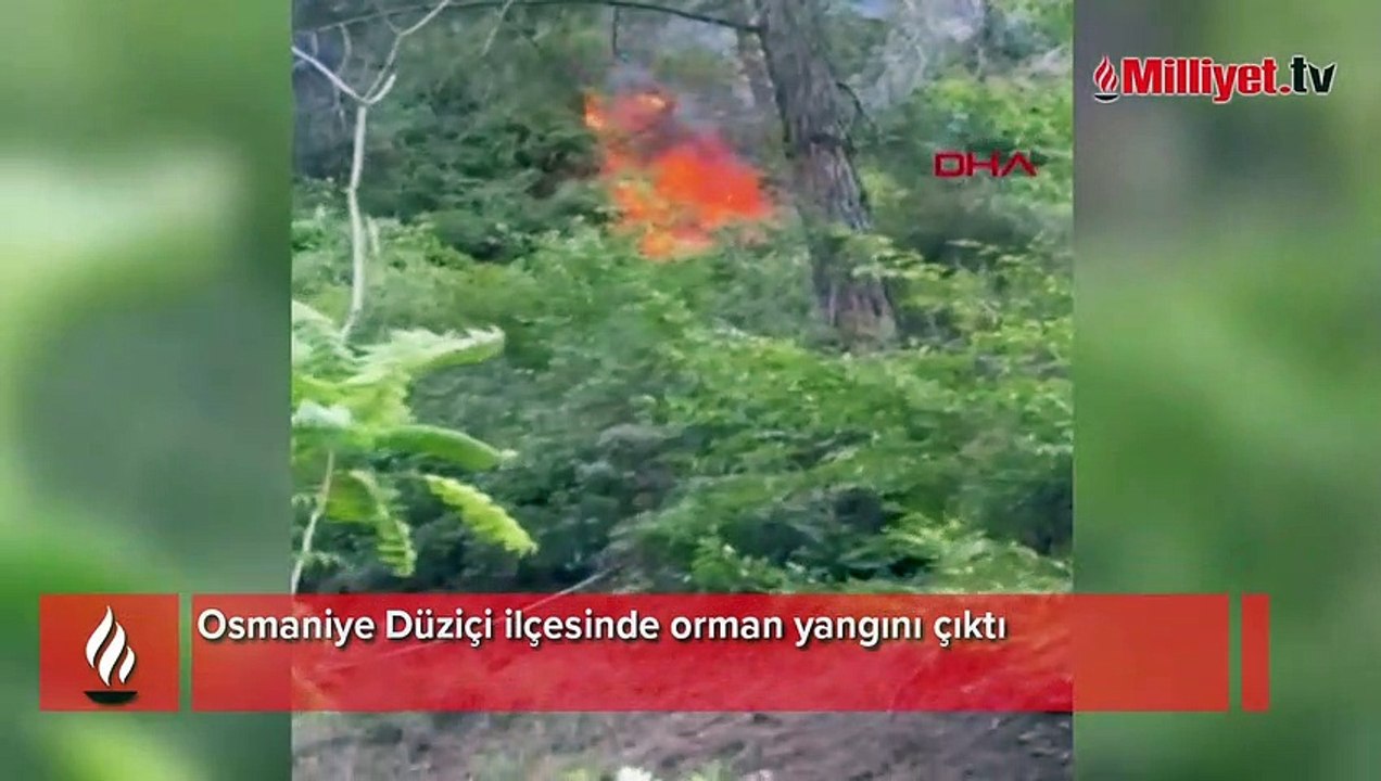 Osmaniye'de orman yangını! Çevre illerden destek istendi