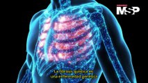 Día Mundial de la Fibrosis Quística: ¿Cómo actúa en el cuerpo?
