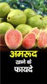 Amrud khane ke fayde खाली पेट अमरूद खाने के फायदे | khali pet amrud khane ke fayde | guava benefits #shorts #like #viral #benefits #haelth