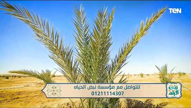 لقاء مع الداعية محمد رضا من علماء الأزهر الشريف | بنت البلد