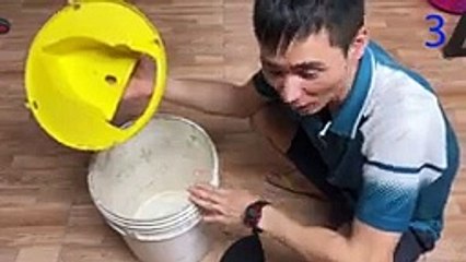 Mouse trap video   The easiest way to make a mouse trap at home