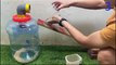 Mouse trap with big plastic bottle   The world's best mousetrap with a plastic bottle