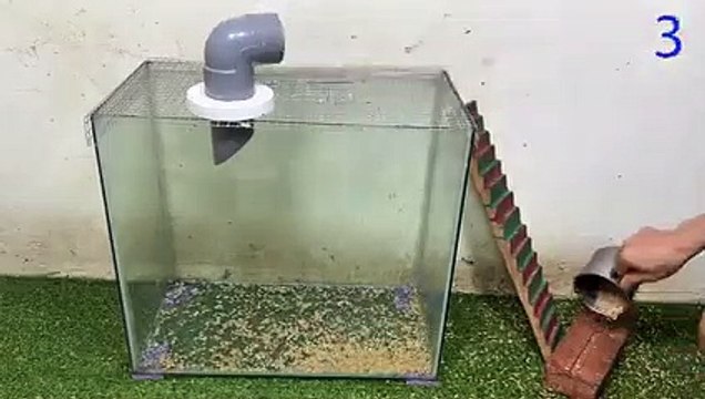 New mouse trap Falling into a trap The best homemade mousetrap in the world