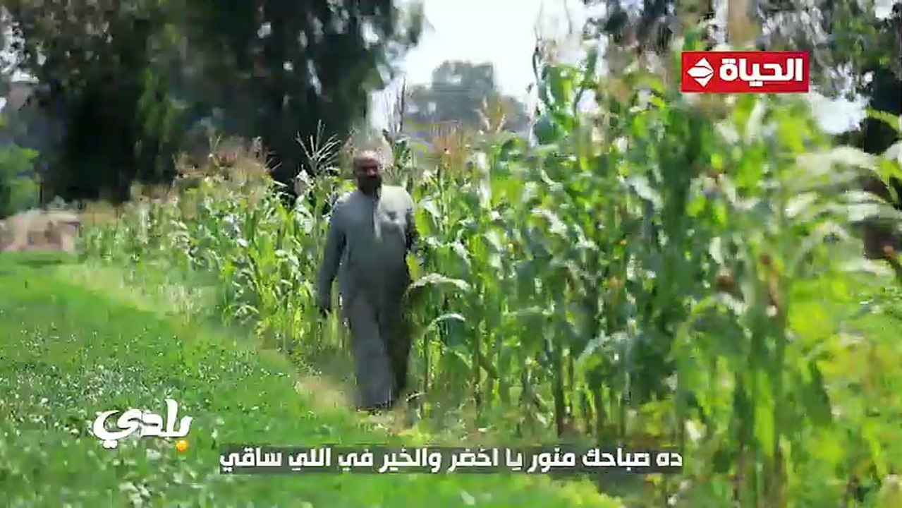 قناة الحياة تطلق برنامجا جديدا باسم "بلدي " عن الفلاح احتفالا بعيد الفلاح المصري الـ 71