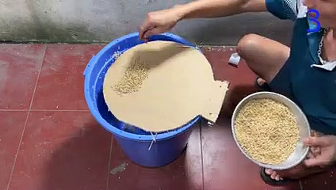 Create a mousetrap   Falling into a trap   Best homemade mousetrap of all time