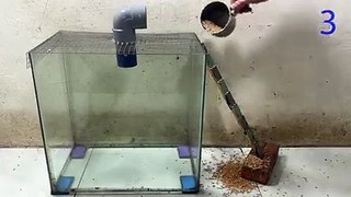 Mouse Trap with Glass Box   Homemade mouse trap with glass box   Mouse trap 3