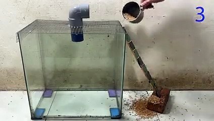 Mouse Trap with Glass Box   Homemade mouse trap with glass box   Mouse trap 3