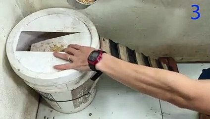 Mouse trap video   Mouse trap with paint bucket   The best mousetrap in the world Mouse trap video