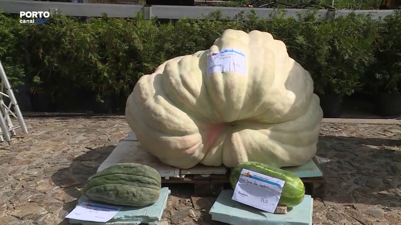 Paredes voltou a dar palco ao Concurso Internacional de Hortícolas Gigantes