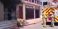 VÍDEO: Bombeiros salvam gato durante combate a incêndio em apartamento