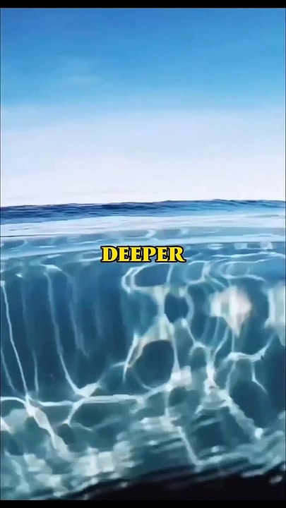 Difference between ocean and sea