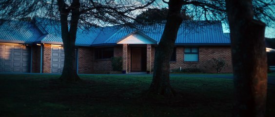 Damp Trees | movie | 2023 | Official Clip