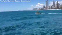 Australia: l’invasione di meduse blu  nel paradiso dei surfisti
