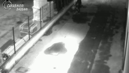 Sassari, sgominata banda di rumeni specializzata in furti