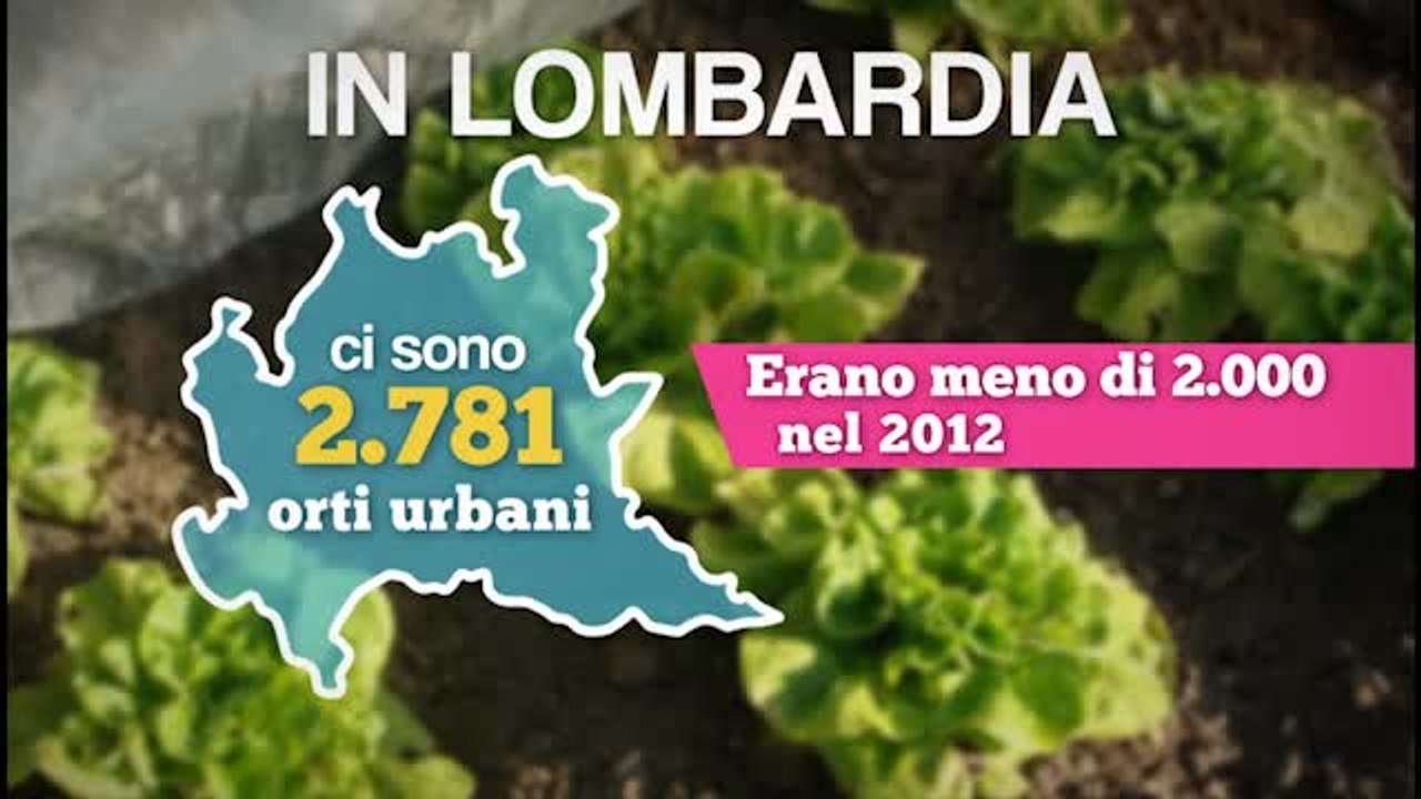 Gli orti urbani