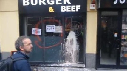 Milano, corteo No Expo: imbrattati muri e vetrine dei negozi