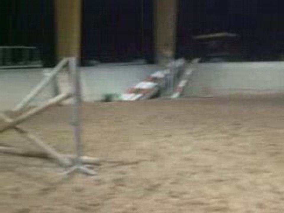 scance de saut