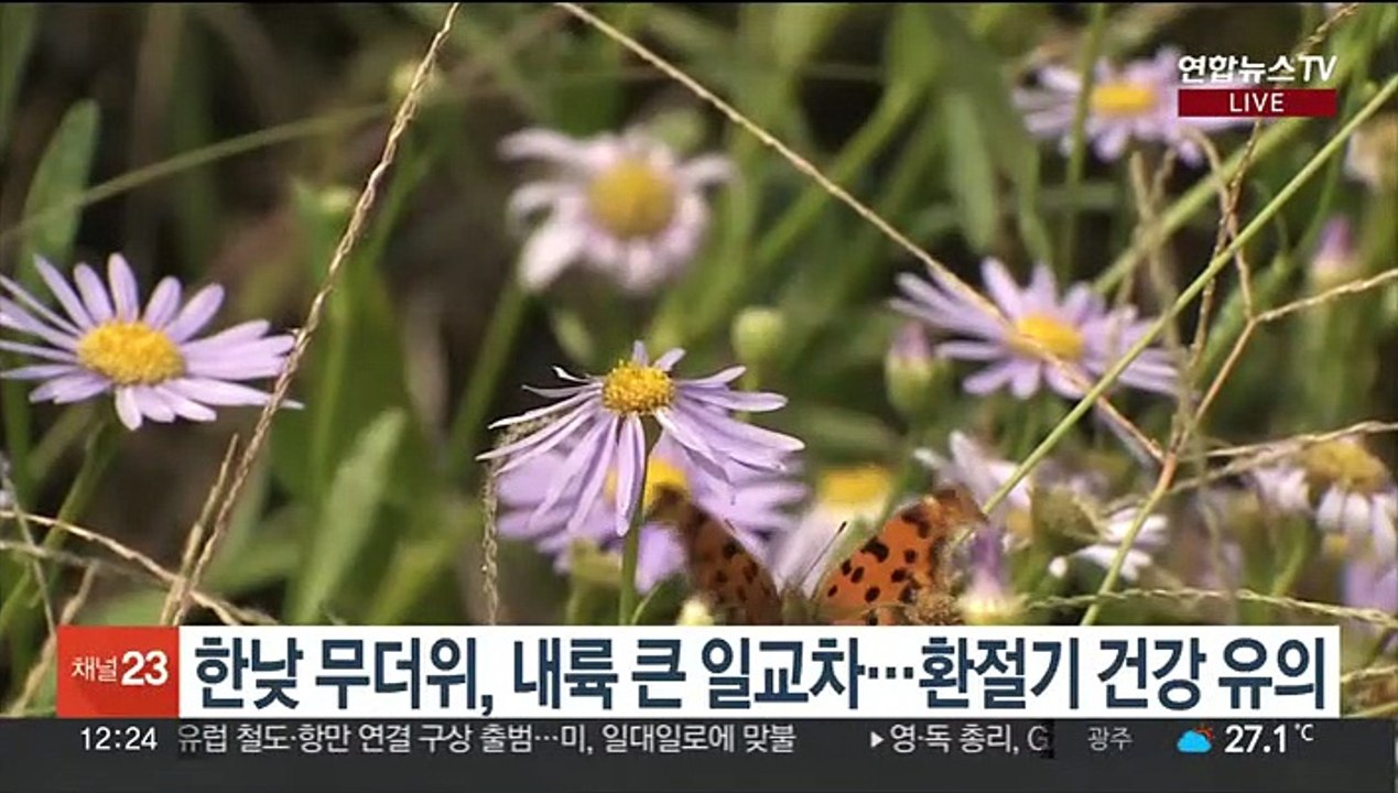 [날씨] 휴일 30도 안팎 늦더위…중북부 '소나기'
