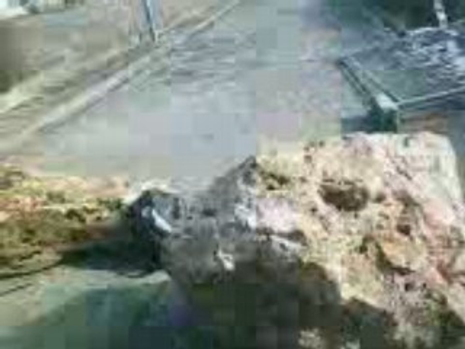 2log au mont everest