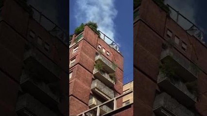 Le fiamme sul palazzo